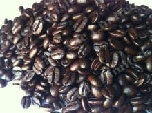 Honduran Organic Fair Trade coffee beans