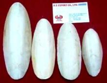 cuttlefish bone