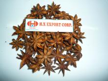 Vietnam Star aniseed