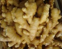 2012 fresh chinese ginger