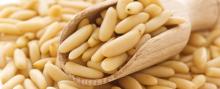 Pine Nuts