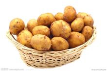 new fresh potato