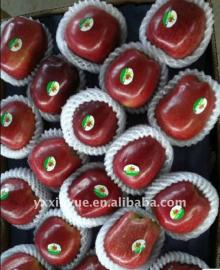 Red Delicious Apple( Huaniu Apple)