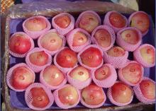 Red Star Apple