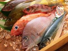 Sorbitol Solution 70% for Frozen  Fish / Fish   Products 