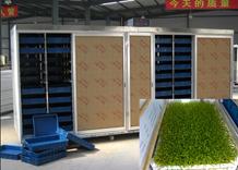 Sale full automatic wheat barley Grass planting and Growing Machine