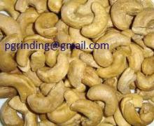 Fresh  Cashew   nuts 