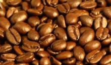 Vietnam Roasted Coffee and Green Coffee