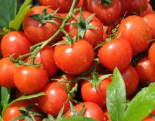 Cherry Tomatoes