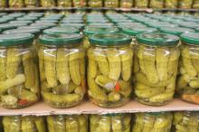 PICKLED CUCUMBER 3-6 CM