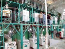  wheat   processing   machine 