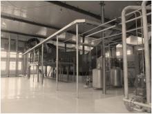 sweet potato starch product line
