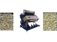 Garlic CCD color  sorter  machine