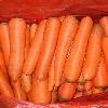 IQF carrot