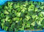 IQF broccoli