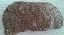 raw propolis