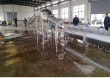 Sale full 304 stainless steel fresh chicken feet or paw peeling processing machine line
