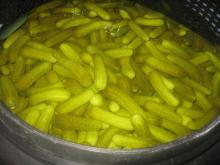 PICKLED CUCUMBER IN DRUM
