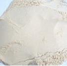 Dehytrated Galic Powder