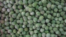 Frozen Green Peas