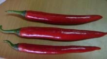 Fresh   Red   Chili 