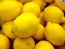 Lemon ( Adalia )