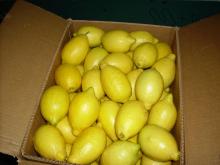 fresh lemon