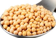 High Quality Soya Bean