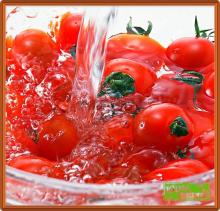 High quality low price 850g tomato paste