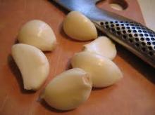 Garlic Extract Powder
