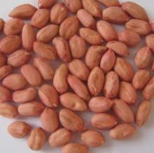 Peanuts