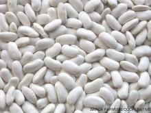 KIDNEY BEANS