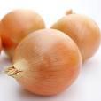  GARLIC  FOR SALE