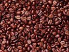 COCOA BEANS FOR SALE