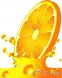 Orange Juice Concentrate