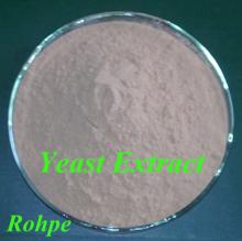 Yeast Extract Powder