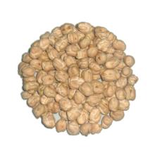 White Chick Peas