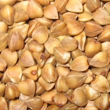 buck wheat
