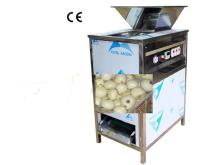 Onion peeling machine in dry way
