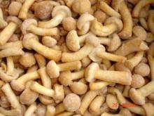  IQF   Nameko  Mushrooms