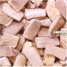 IQF Pleurotus Ostreatus Mushroom