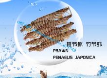  prawn , shrimp 