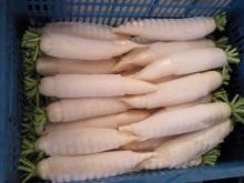Fresh White Radish