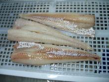 alaska pollock fillet