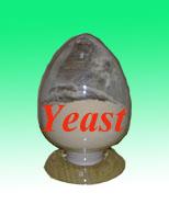 Yeast Extract (chicken flavor)