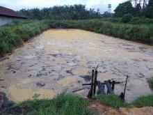 PALM ACID OIL