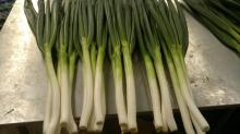Fresh Green Onion