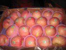 Fresh Apple