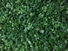 Frozen Green onion