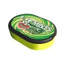 34g Sugar Free  Sour   Fruit  Candy Mints Confectionery